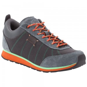 Buty Casual Męskie Jack Wolfskin Mountain Dna Low Ciemny | QG5987140