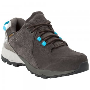 Buty Trekkingowe Damskie Jack Wolfskin Cascade Hike Lt Texapore Low Brązowe | FA8361092