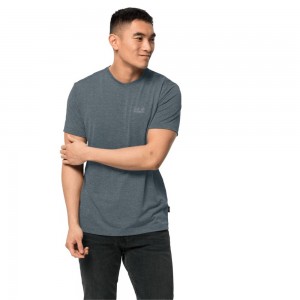 Funkcjonalny top Męskie Jack Wolfskin Jwp Szare | OU3957840