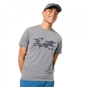 Funkcjonalny top Męskie Jack Wolfskin Jwp World Szare | PZ3492715