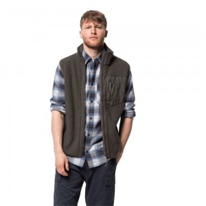 Kamizelka Męskie Jack Wolfskin Kingsway Szare Brązowe | JX2435760