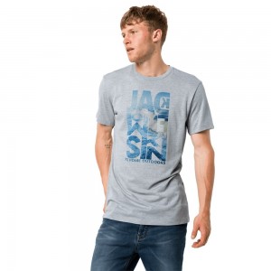 Koszulki Męskie Jack Wolfskin Atlantic Ocean Szare | ME7596413