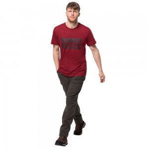 Koszulki Męskie Jack Wolfskin Brand Ciemny Czerwone | ZP4935821