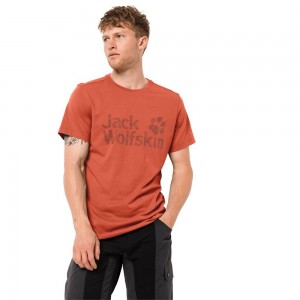Koszulki Męskie Jack Wolfskin Brand Logo Pomarańczowe | HW4162538
