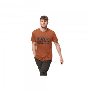 Koszulki Męskie Jack Wolfskin Brand Miedź | CW5721930