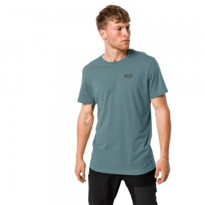 Koszulki Męskie Jack Wolfskin Essential Głęboka Zielone | PY6203814