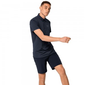 Koszulki Polo Męskie Jack Wolfskin Jwp Niebieskie | ZW6097345