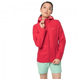 Kurtka Softshell Damskie Jack Wolfskin Northern Point Czerwone | WI1892560