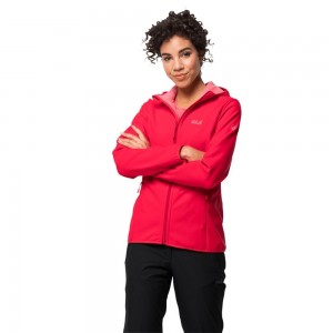 Kurtka Softshell Damskie Jack Wolfskin Northern Point Czerwone | QL2480351