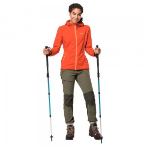 Kurtka sportowa Damskie Jack Wolfskin Hydro Hooded Ii Czerwone | JR5689214
