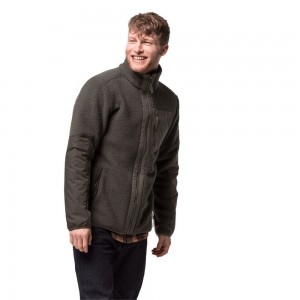 Kurtki Polarowe Męskie Jack Wolfskin Kingsway Szare Brązowe | SN7629804
