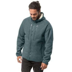 Kurtki Polarowe Męskie Jack Wolfskin Robson Głęboka Zielone | YK4693817