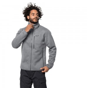 Kurtki Polarowe Męskie Jack Wolfskin Robson Fjord Szare | VB6140359