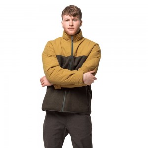 Kurtki Polarowe Męskie Jack Wolfskin Robson Wood Szare Brązowe | XM7106824