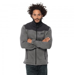 Kurtki Polarowe Męskie Jack Wolfskin Scandic Szare | BL1652938