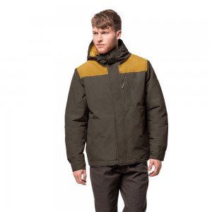 Kurtki Zimowe Męskie Jack Wolfskin Oakwood Szare Brązowe | NC7502189
