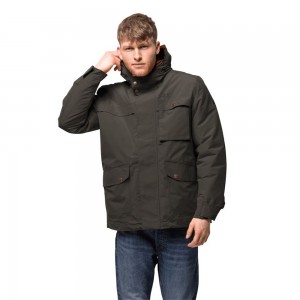 Kurtki Zimowe Męskie Jack Wolfskin Wildwood Szare Brązowe | YW9260384