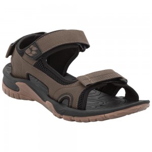Sandały Męskie Jack Wolfskin Lakewood Cruise Ciemny | IS4236791