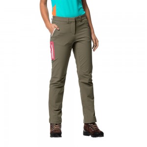 Softshell Trousers Damskie Jack Wolfskin Overland Ii Szare | DO3608719