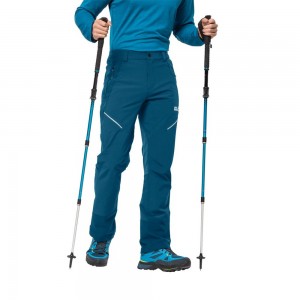 Softshell Trousers Męskie Jack Wolfskin Gravity Slopeen Ciemny | PY5103627
