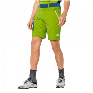 Softshell Trousers Męskie Jack Wolfskin Overland Głęboka Zielone | BC8406972