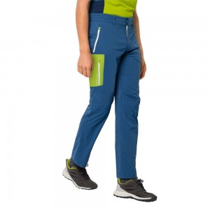 Softshell Trousers Męskie Jack Wolfskin Overland Indygo Niebieskie | ZE6293501