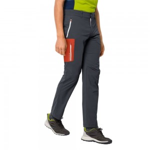 Softshell Trousers Męskie Jack Wolfskin Overland Ciemny Niebieskie | AM7312045