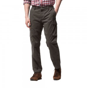 Spodnie Codzienne Męskie Jack Wolfskin Arctic Road Cargo Szare Brązowe | LG9845206