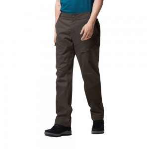 Spodnie Codzienne Męskie Jack Wolfskin Dover Road Cargo Szare Brązowe | XG9781326