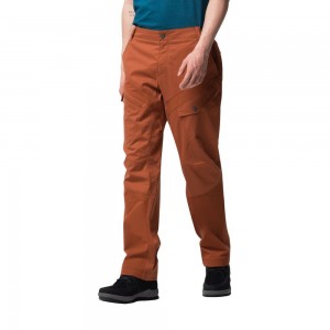Spodnie Codzienne Męskie Jack Wolfskin Dover Road Cargo Miedź | YB0723689