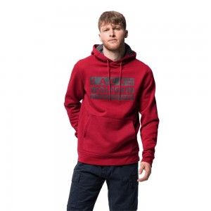 Zworki Męskie Jack Wolfskin Brand Hoody Ciemny Czerwone | HV4286019