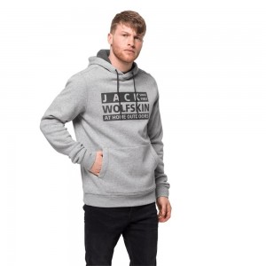Zworki Męskie Jack Wolfskin Brand Hoody Głęboka Szare | VY7620843
