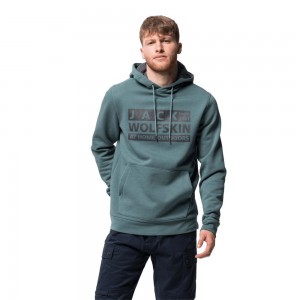 Zworki Męskie Jack Wolfskin Brand Hoody Głęboka Zielone | PR9638452
