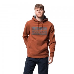 Zworki Męskie Jack Wolfskin Brand Hoody Miedź | VJ3048217