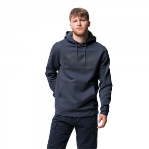 Zworki Męskie Jack Wolfskin Brand Hoody Niebieskie | AV6021978